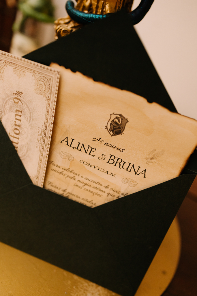 ALINE E BRUNA BLUMENAU